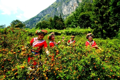 &ldquo;富礦精開&rdquo;強(qiáng)優(yōu)勢--六盤水奮力在新時代西部大開發(fā)上闖新路