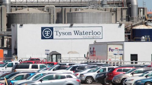 聚眾扎堆,美國多地疫情反彈 新西蘭麥當(dāng)勞凌晨5點(diǎn)排長隊 專家急了 莫要放松