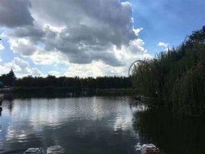 六盤水優秀原創作品推薦 珍惜