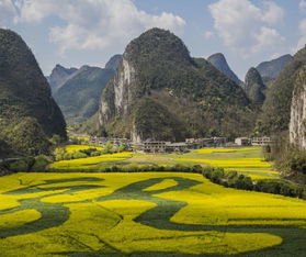 貴州省發(fā)展?jié)摿ψ畲蟮某鞘?六盤水,都勻誰(shuí)會(huì)獲得最后的勝利呢